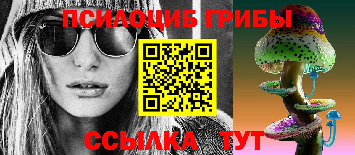 Псилоцибиновые грибы мухоморы Норильск